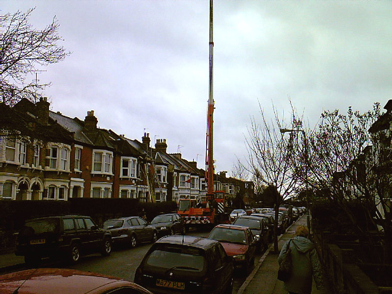 crane2.jpg