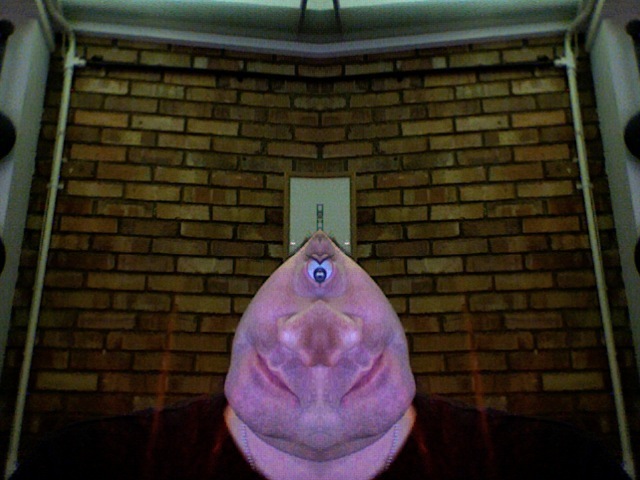 photo-35.jpg