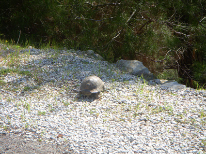 dscn2513.JPG