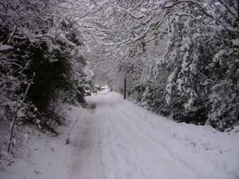 dscn3354.jpg